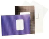 Cahier A4 40 blad ruit 10x10mm 2 stuks 