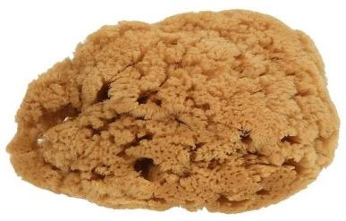 NATUURSPONS KLEIN MODEL